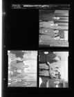 Lion's Club; Utilities Commission (3 Negatives) (April 12, 1954) [Sleeve 42, Folder d, Box 3]